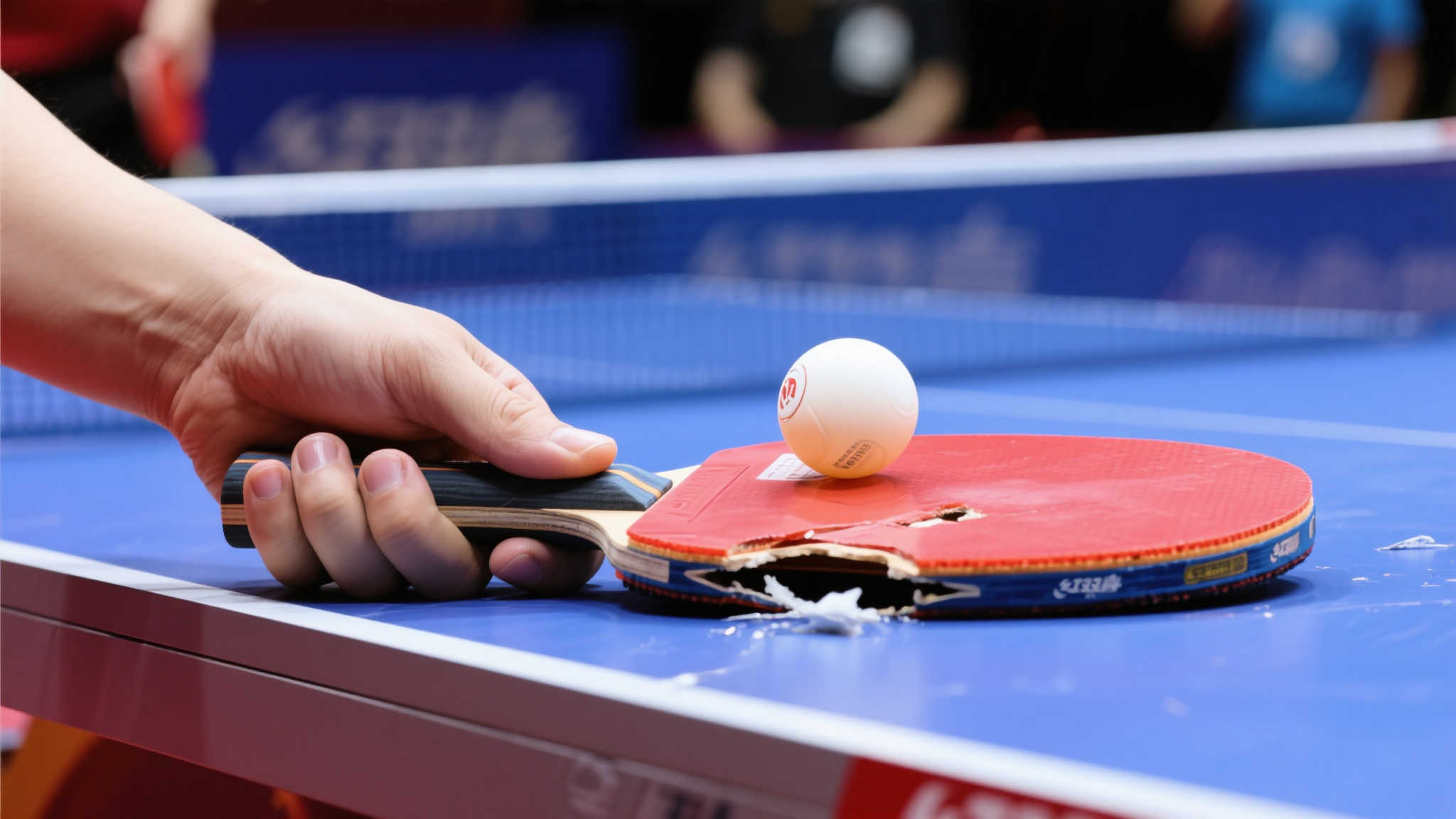 都将全力以 都将全力以